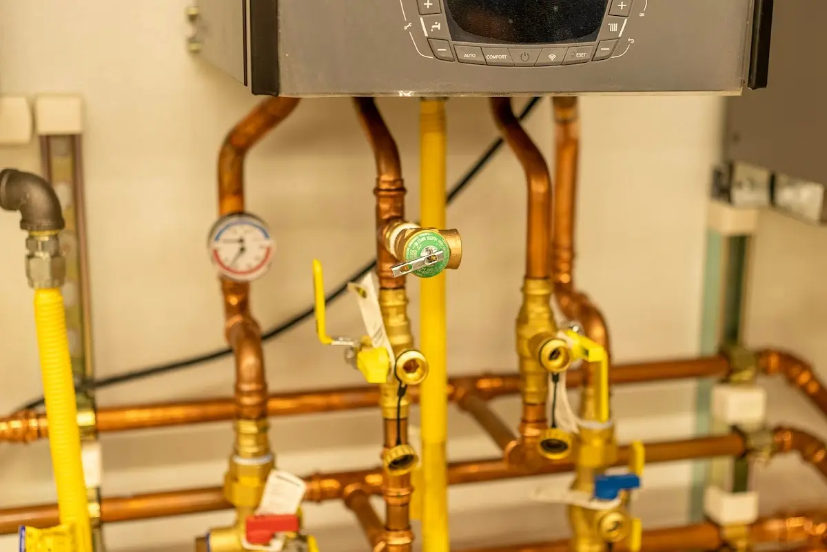Licensed technician providing Sump Pump Repair for a homeowner in Wailea